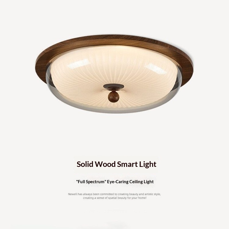 Outdoor Lighting Mid Century Modern - Mid Century Vintage Ceiling Light LED