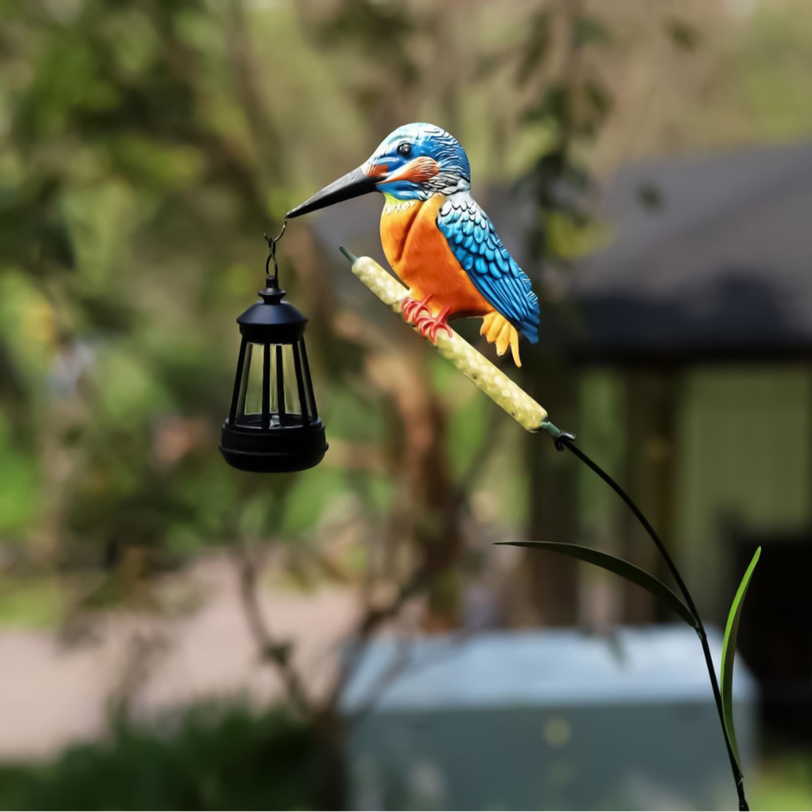 Solar Powered Kingfisher Light - Outdoor Lighting Ground recension och pris